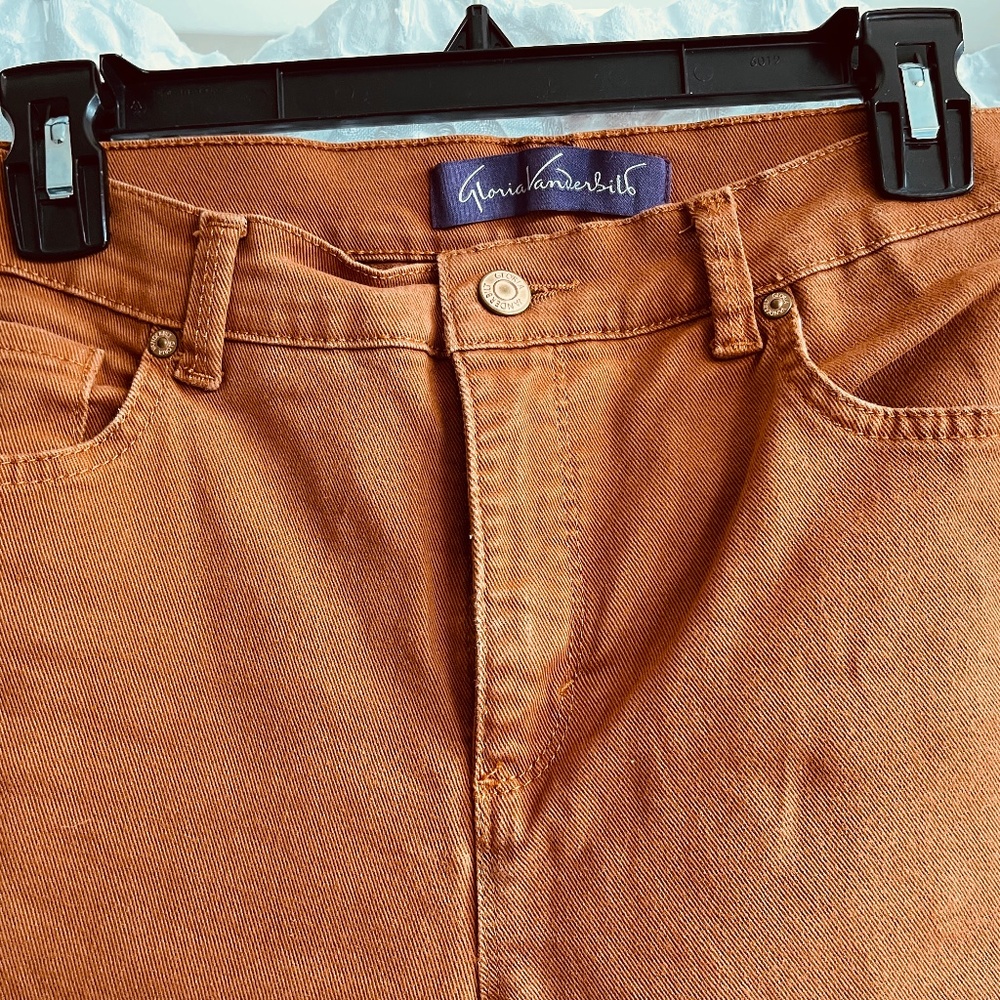 Gloria Vanderbilt Amanda Jeans in Ginger/Cinnamon color, size 6P